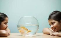 孩子愛(ài)搗蛋？父母不能給孩子太多規(guī)矩