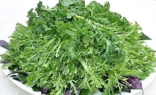 野菜可以吃嗎？孕婦吃野菜有什么好處？