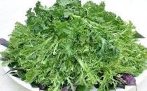 野菜可以吃嗎？孕婦吃野菜有什么好處？