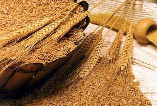 哪些食物促進(jìn)消化？促進(jìn)消化的常見食物有什么