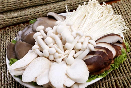 孩子吃食用菌能補腦嗎？孩子吃什么食物補腦