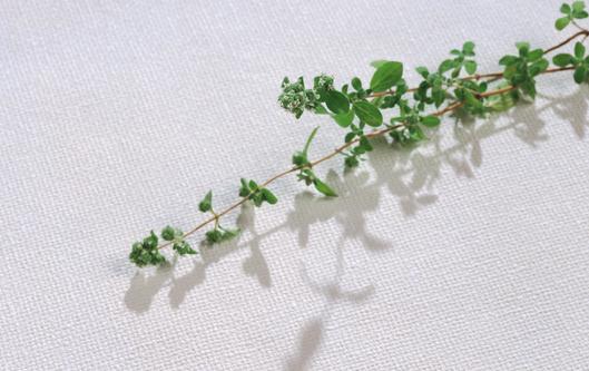 藥妝品有什么功能？用藥妝會(huì)產(chǎn)生抗藥性嗎？