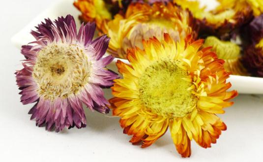 菊花美容養(yǎng)顏-菊花怎么吃最好？