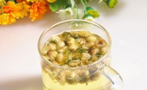 菊花茶怎么飲用好？哪些人不宜喝菊花茶？