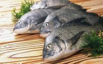 魚的哪些部位比較有營養(yǎng)？洗魚有什么技巧？