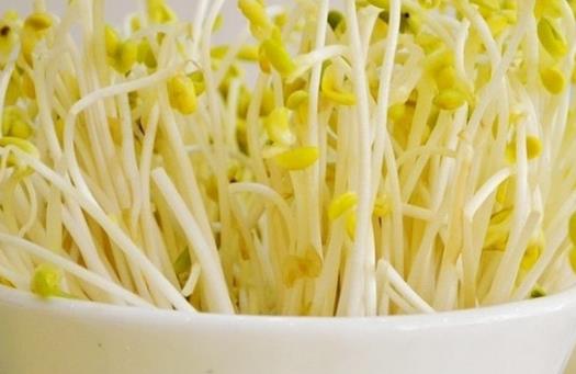 黃豆芽和綠豆芽哪個(gè)營養(yǎng)價(jià)值更高