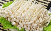 金針菇有什么養(yǎng)生功效？食用時有什么禁忌？