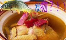 腫瘤患者不能吃發(fā)物？