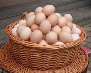 哪種蛋類的營(yíng)養(yǎng)價(jià)值更高