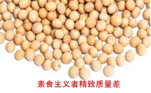 素食