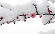 ?已經(jīng)立冬了，祝你冬天快樂