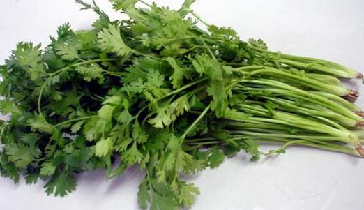 香菜有什么功效？香菜怎么保存？