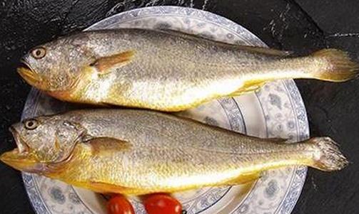 黃花魚有什么營(yíng)養(yǎng)價(jià)值？孕婦能吃黃花魚嗎？
