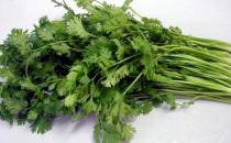 香菜有什么功效？香菜怎么保存？