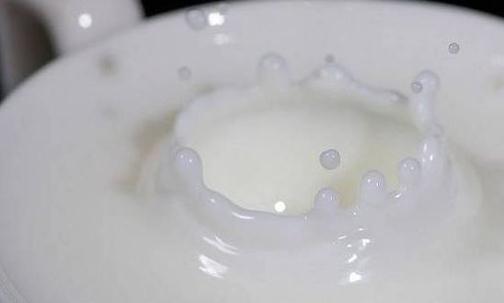 牛奶需要煮嗎？喝牛奶有哪些禁忌？
