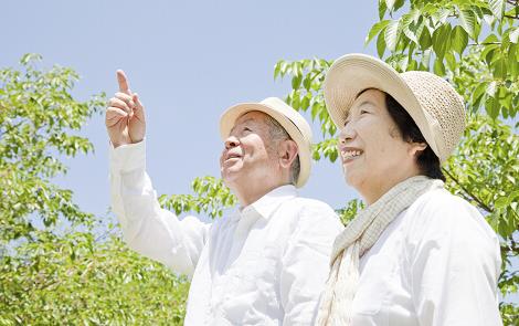 長(zhǎng)壽