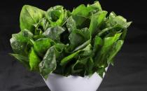 菠菜含鐵高？營養(yǎng)師稱這是個誤區(qū)