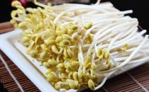 發(fā)芽的食物究竟能不能吃？