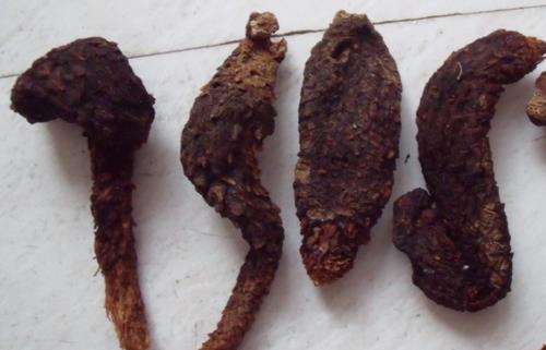 補(bǔ)腎壯陽中藥 肉蓯蓉的功效及食用方法
