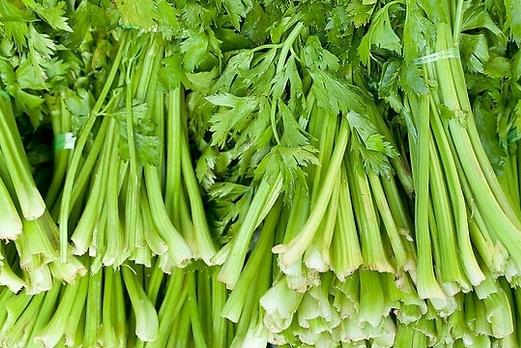 芹菜有哪些藥用功效？吃芹菜可預(yù)防動(dòng)脈硬化