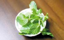 薄荷是什么？薄荷對(duì)家居環(huán)境的影響