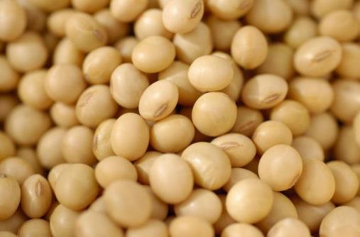 吃什么對(duì)乳房好？保護(hù)乳房的食物推薦