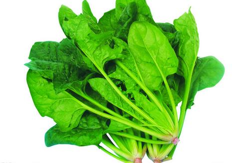 女性貧血吃什么 補(bǔ)血食療方推薦