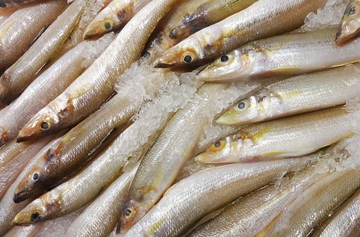 男人吃什么可以壯陽(yáng)？壯陽(yáng)補(bǔ)腎的四類食物推薦