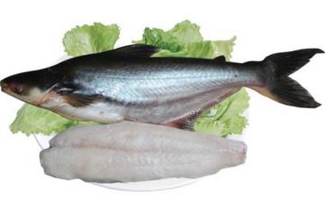 鱈魚_鱈魚的營養(yǎng)價(jià)值,營養(yǎng)成分,功效與作用,鱈魚的做法大全