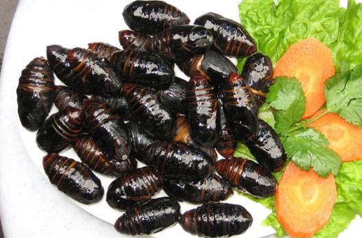 冬天男人吃這些食物能強(qiáng)精補(bǔ)腎