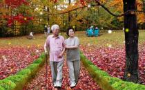 老人如何長(zhǎng)壽？常做三件事