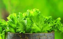 冬季排毒吃什么好？11種食物吃掉體內(nèi)毒素