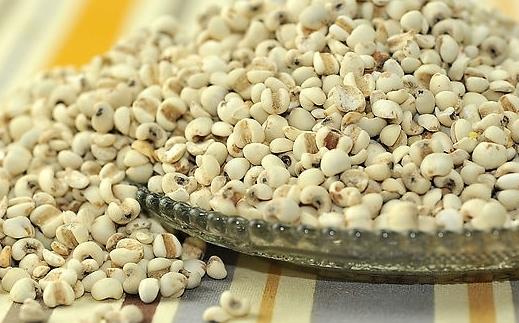 體內濕氣重吃什么好？去除濕氣的食物推薦