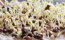 黃豆芽和綠豆芽有什么區(qū)別？