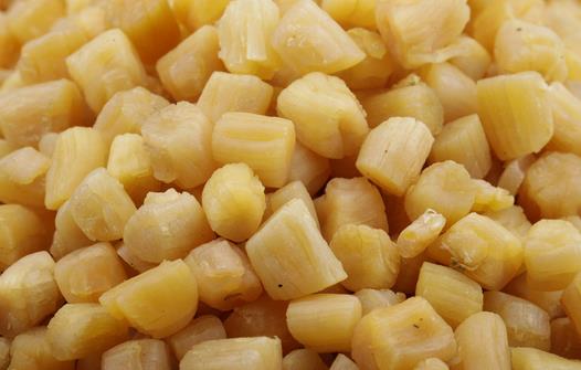 補(bǔ)腎的食物有哪些？12種天然補(bǔ)腎圣品推薦