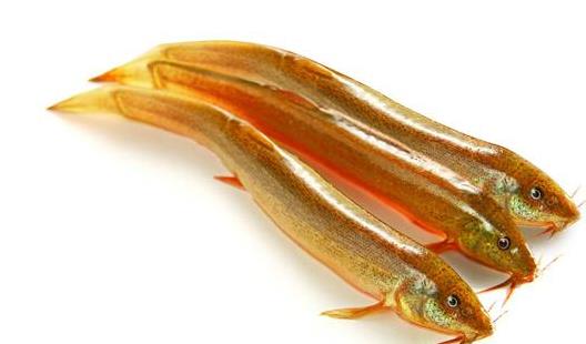 男性陽(yáng)痿的食療偏方推薦