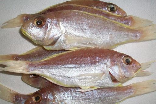 什么是冰鮮食品？如何區(qū)分冰鮮魚和冰凍魚？