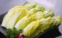 白菜和娃娃菜有啥區(qū)別？盤點(diǎn)各種“白菜”的區(qū)別