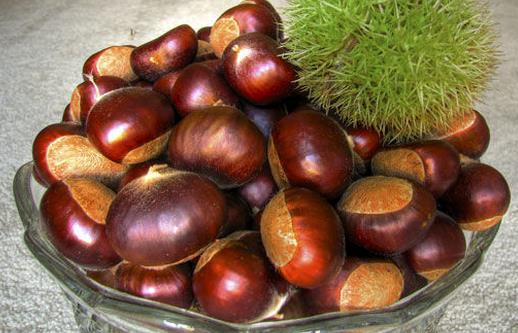 女性經(jīng)期吃什么食物好？