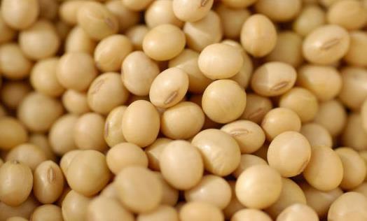 吃什么對乳房好？保護(hù)乳房的9種食物推薦
