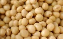 吃什么對乳房好？保護乳房的9種食物推薦