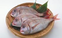 魚(yú)類的5大功效你知道嗎？