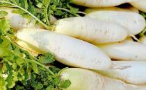 冬季吃什么美白？冬季美白食物推薦