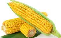 每逢佳節(jié)胖三斤？十種刮油食物越吃越瘦