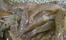 如何選購水產(chǎn)品？教你選購五類水產(chǎn)品