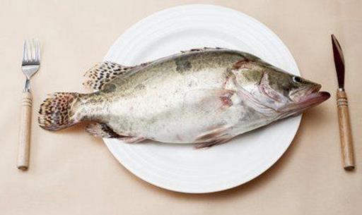 教你如何選到肉質(zhì)鮮嫩的好魚
