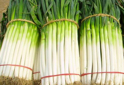 哪些食物有壯陽(yáng)的功效？3款養(yǎng)生菜堪比壯陽(yáng)藥