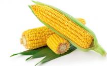 冬季養(yǎng)胃吃啥好？9種食物來(lái)護(hù)胃