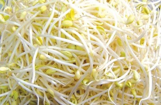 多吃豆芽能防病 盤點(diǎn)豆芽的功效