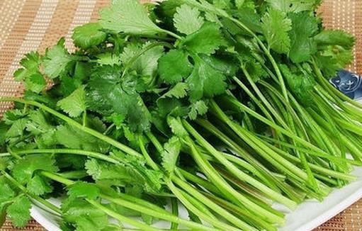 香菜臭臭噠 卻是美容護(hù)膚好幫手